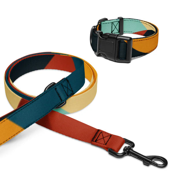 Abstract Pet Collar & Leash