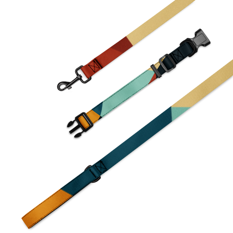 Abstract Pet Collar & Leash